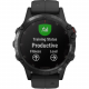 Garmin fenix 5 Plus Sapphire Edition Multi-Sport Training GPS Watch, termination mode