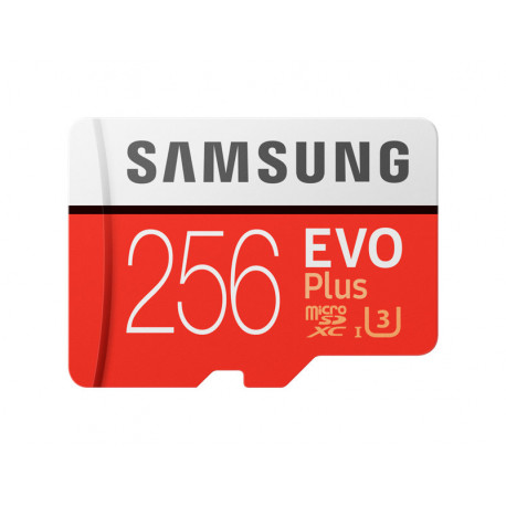 Карта памяти Samsung EVO PLUS V2 microSDXC 256GB UHS-I U3, главный вид