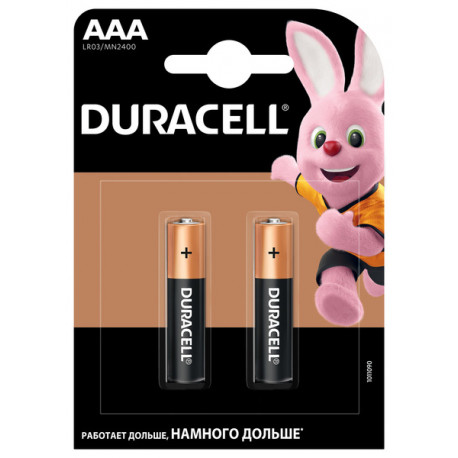 Батарейки DURACELL AAA LR03 MN2400 2 шт, внешний вид