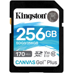 Карта памяти Kingston Canvas Go Plus SDXC 256Gb C10, UHS-I, U3