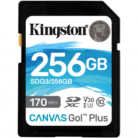 Карта памяти Kingston Canvas Go Plus SDXC 256Gb C10, UHS-I, U3, главный вид