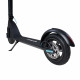 Proove Model X-City electric scooter, BlackBlue rear wheel