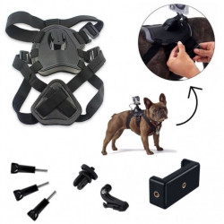 AIRON ACS-3 Set of mounts for action cameras and smartphones for a dog