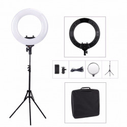 Tolifo R-48B Lite LED ring light on a stand with 2x NP-F750 batteries and a mirror