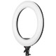 Tolifo R-48B Lite LED ring light on a stand with 2x NP-F750 batteries and a mirror, close-up
