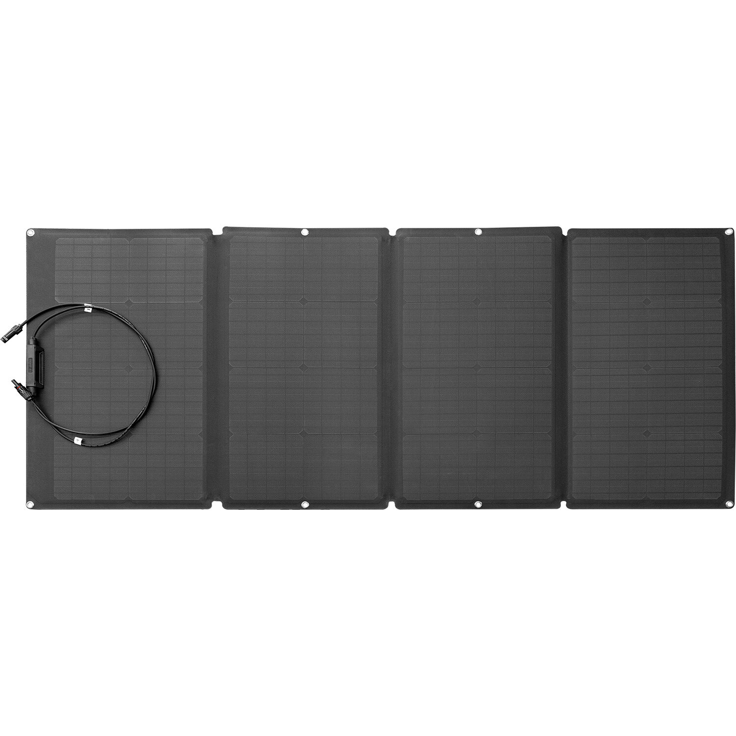 EcoFlow 160W Solar Panel Charger, main view