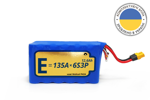 Аккумулятор Energy Life 6S3P 12600mАh Molicel P42A