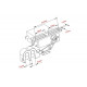 Tarot dual drop mechanism with servo drive