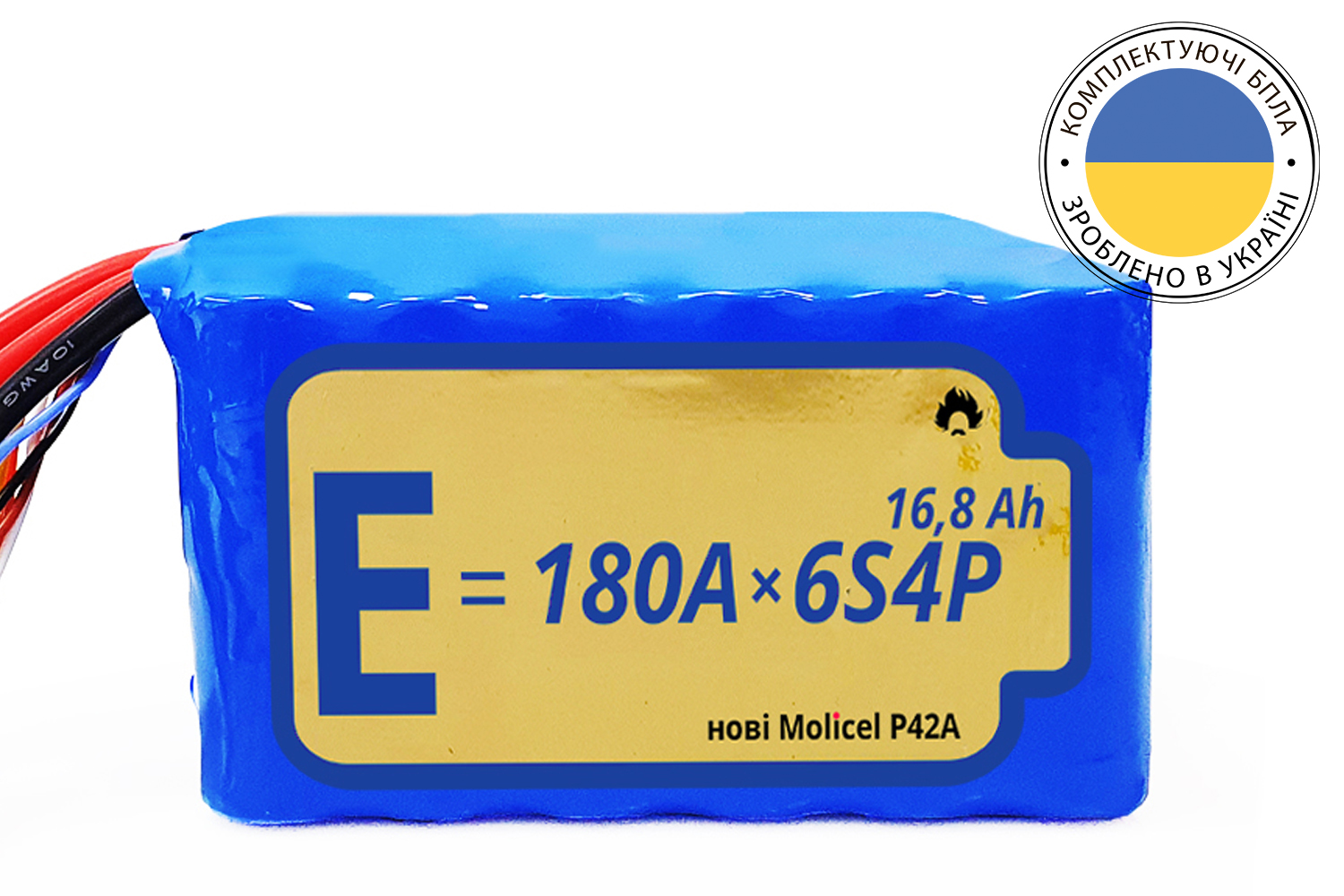 Battery pack 6S4P Energy Life 16800 mAh Molicel 21700-P42A Li-Ion 10AWG without connector (001)
