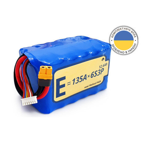 Rechargeable battery for drone 6S3P Energy Life 12600mAg 135A Molicel 21700-P42A Li-Ion