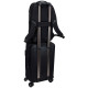 Thule Accent 23L backpack