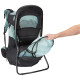 Thule Sapling Child Carrier Backpack (Black)