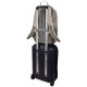 Thule EnRoute 26L Backpack (Pelican/Vetiver)
