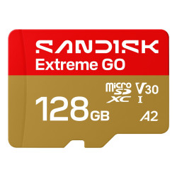 Карта пам'яті SanDisk Extreme GO A2 microSD 128GB C10 UHS-I U3 V30 R240/W120MB/s