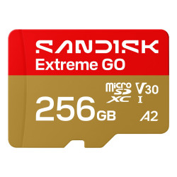 Memory card SanDisk Extreme GO A2 microSD 256GB C10 UHS-I U3 V30 R240/W160MB/s