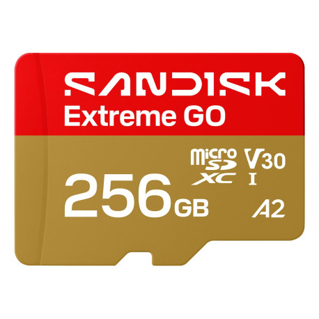 Карта пам'яті SanDisk Extreme GO A2 microSD 256GB C10 UHS-I U3 V30 R240/W160MB/s