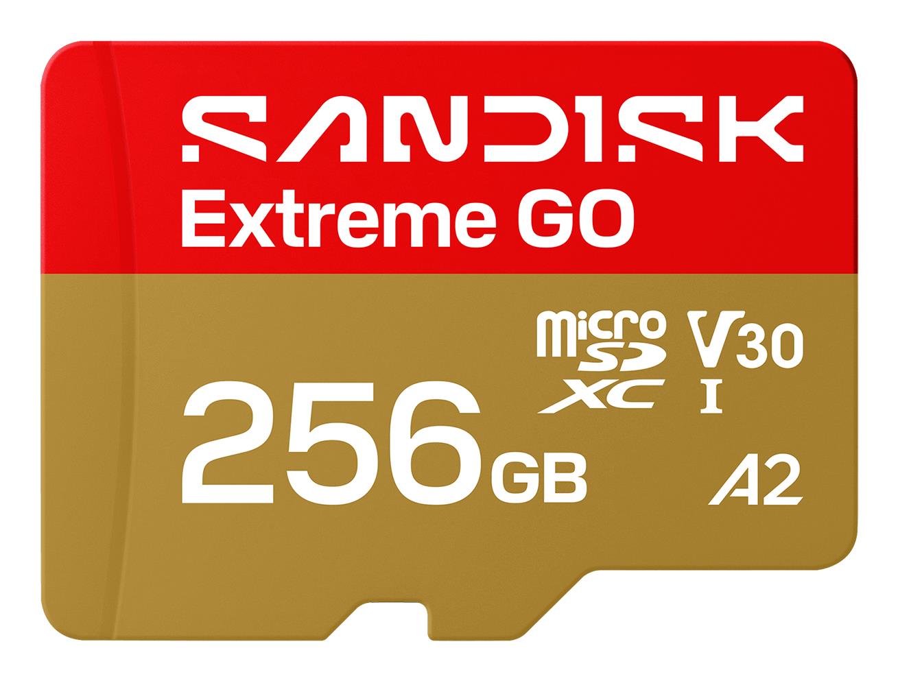 Карта пам'яті SanDisk Extreme GO A2 microSD 256GB C10 UHS-I U3 V30 R240/W160MB/s
