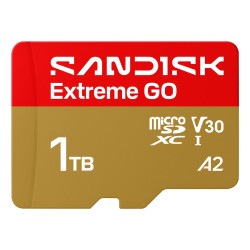 Memory card SanDisk Extreme GO A2 microSD 1TB C10 UHS-I U3 V30 R240/W160MB/s