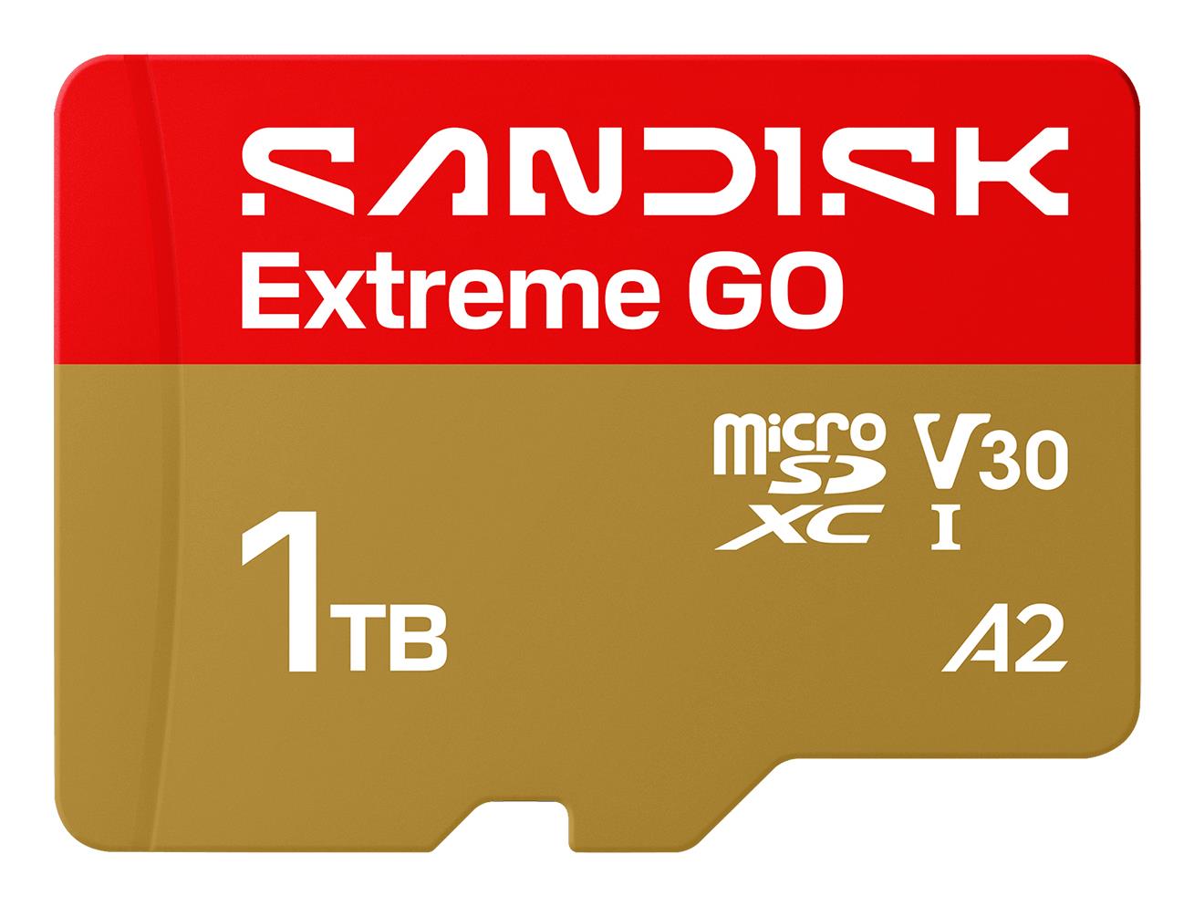 Карта пам'яті SanDisk Extreme GO A2 microSD 1TB C10 UHS-I U3 V30 R240/W160MB/s