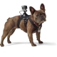 Крепление-упряжка для собак GoPro Fetch Dog Harness, вид на собаке в профиль